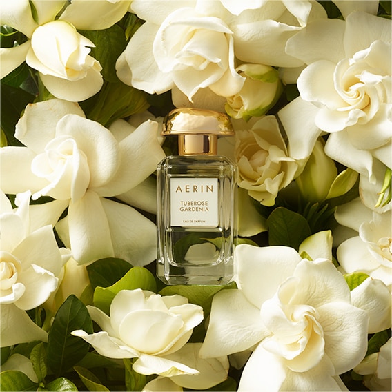 AERIN Rose Cocoa Perfume surrounded by pink roses